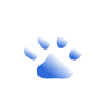 A blue paw print icon on a white background.