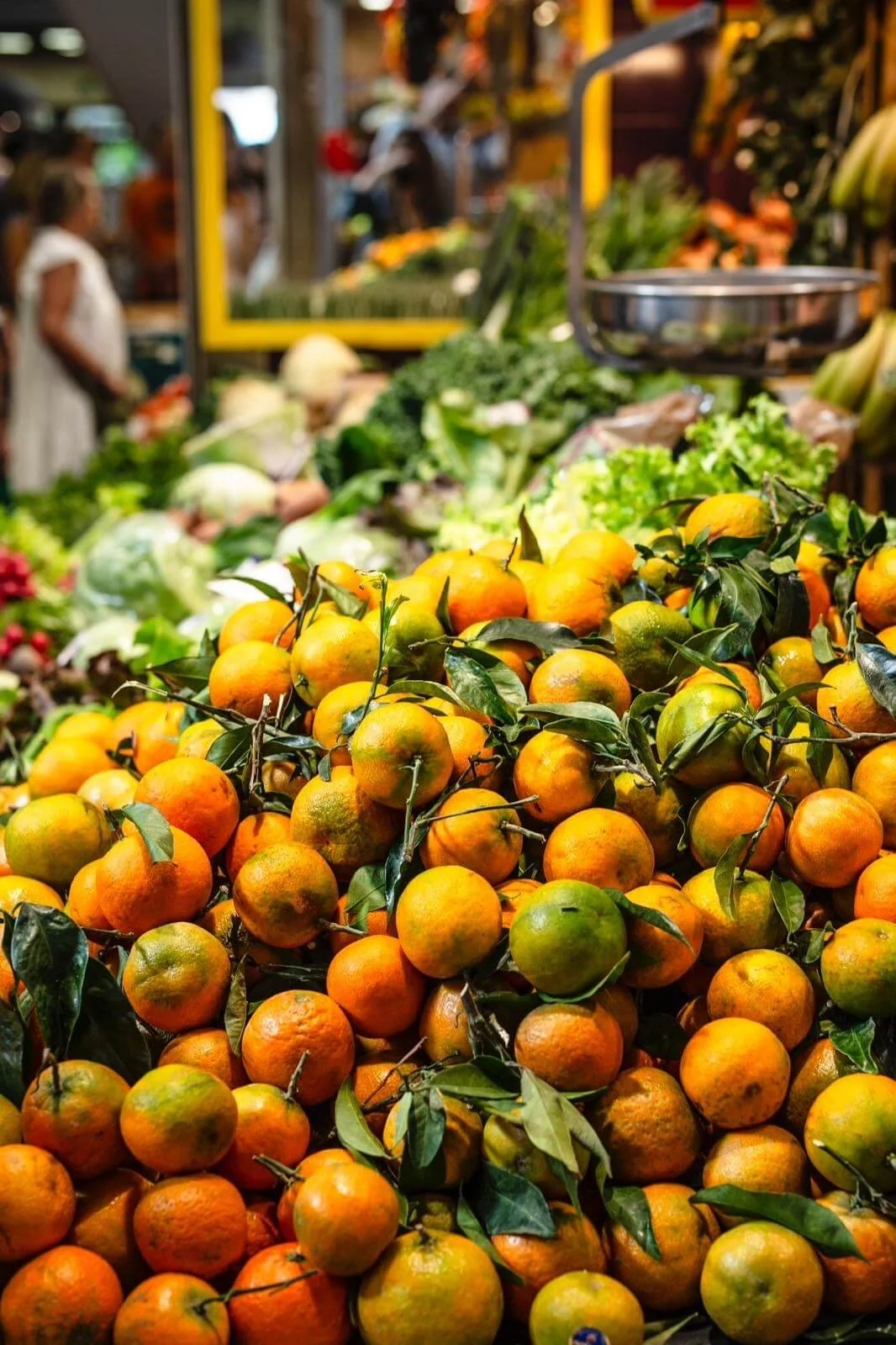 Mallorca Urlaub - Ein Besuch in Palma de Mallorca 