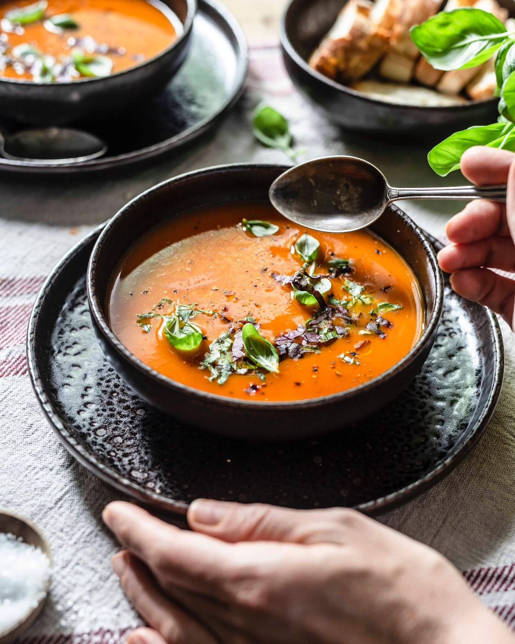 Italienische Tomatensuppe aus frischen Tomaten - Klara &amp; Ida