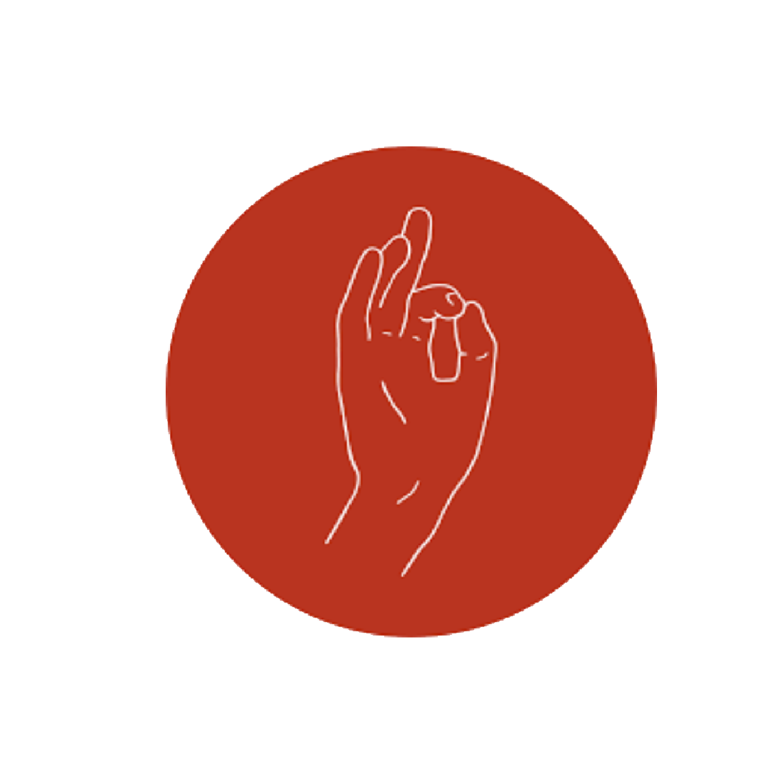 pizzarova logo