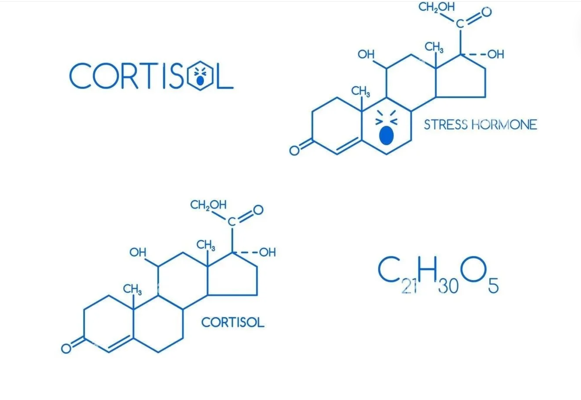 It's not cortisol. It's depletion.