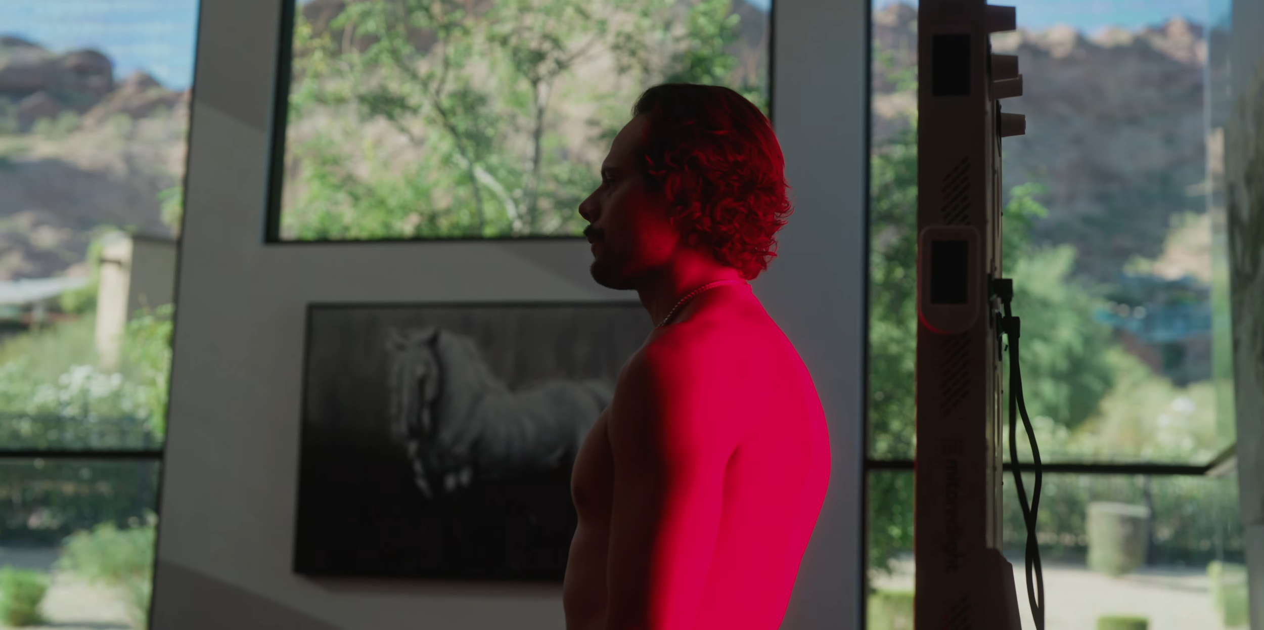 auston+x+mito_1.6.1.png