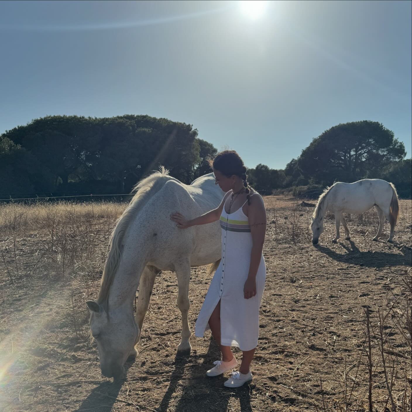 Los caballos son un espejo del alma, conectan con nuestro ser, se comportan de acuerdo a lo que van sintiendo, mostr&aacute;ndolo a trav&eacute;s de los movimientos, posturas, sonidos, expresiones&hellip;. de una manera muy clara.

Son seres muy sens