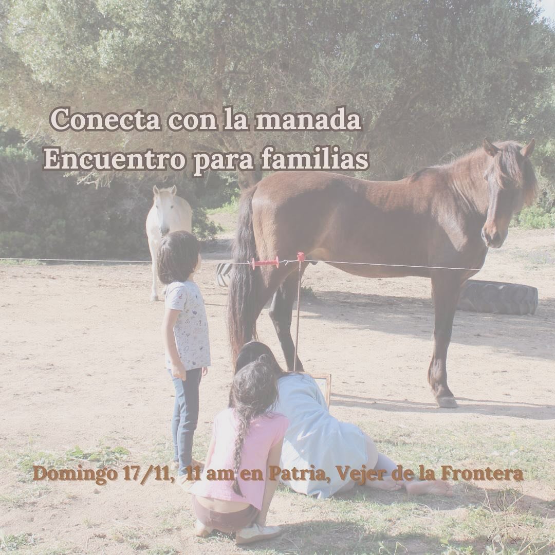Nuevo encuentro entre familias el pr&oacute;ximo domingo 17

Un espacio de escucha, de conexi&oacute;n, un momento en familia para tomar conciencia del estado del n&uacute;cleo familiar. 

Estar en resonancia con la naturaleza y con la inmejorable ac