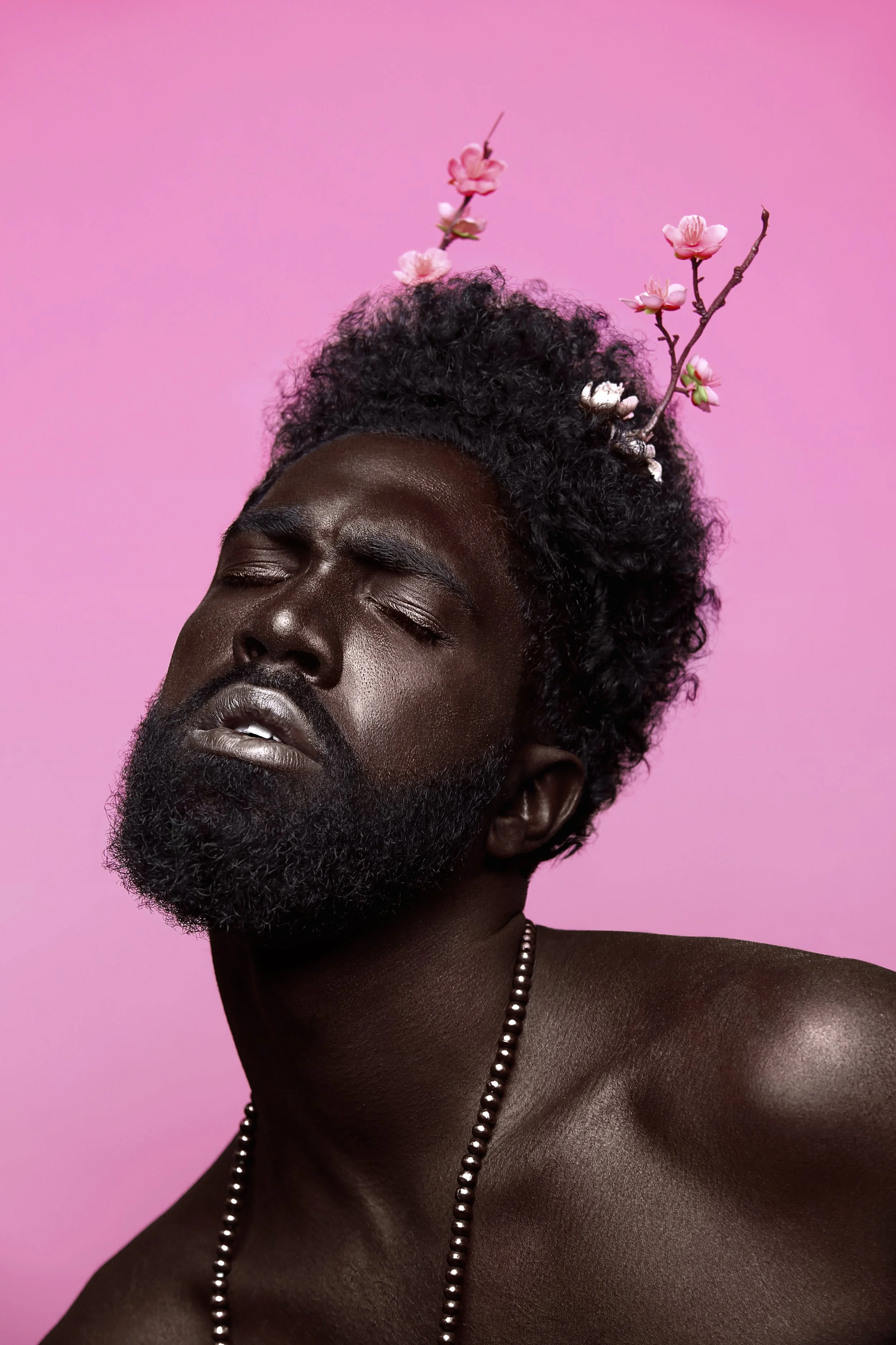 The Pink Keren II , 2018.jpg