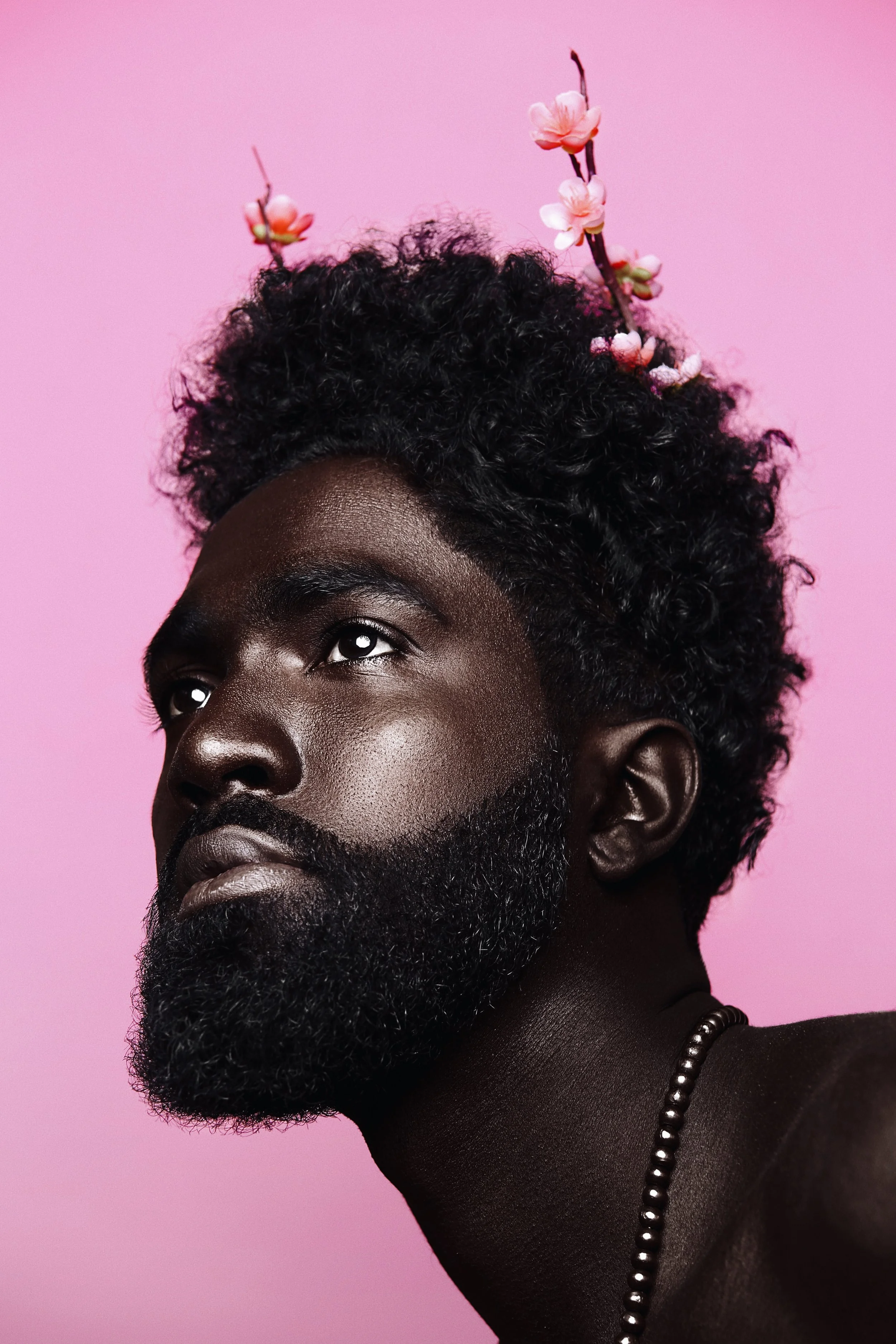 The Pink Keren , 2018.jpg