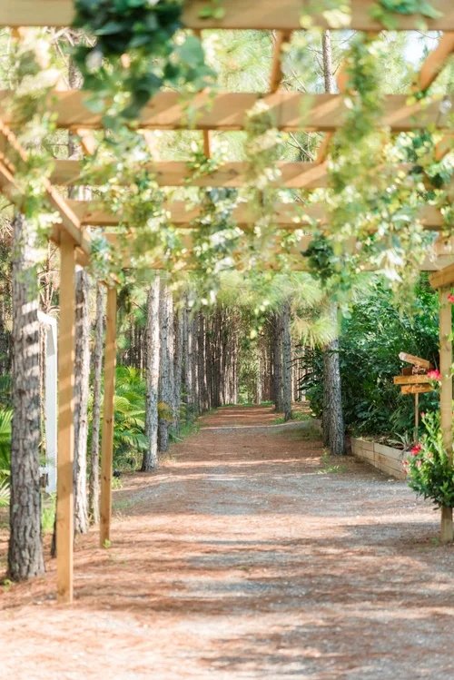 Wooden pergola aisle in pine forest at outdoor wedding venue near Land O Lakes Florida