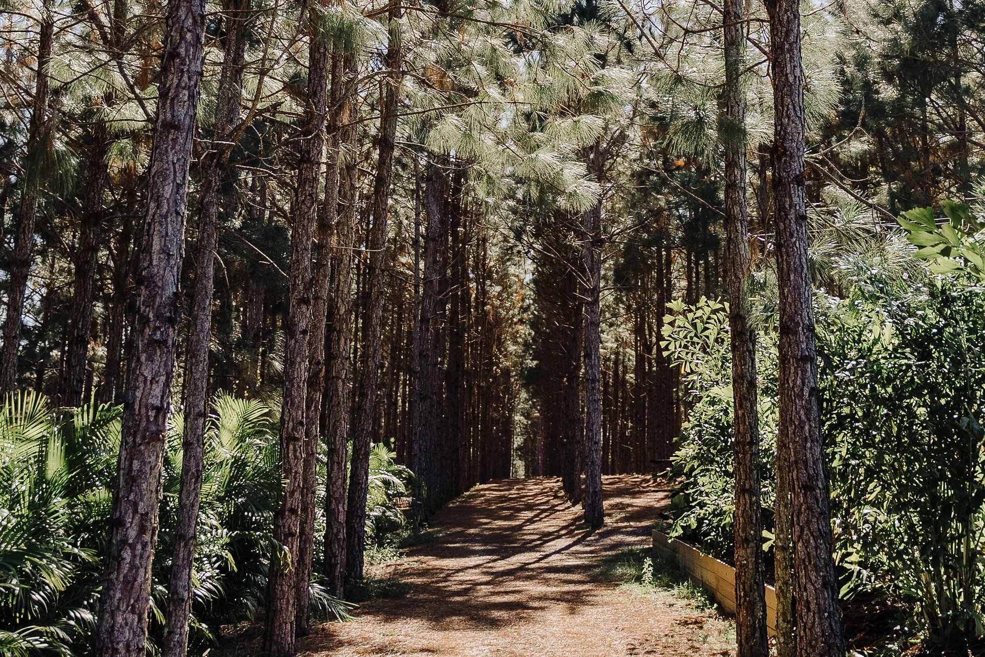 DSC06929 Cropped.jpg