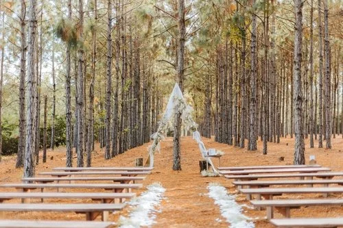 Wooden bench ceremony setup in pine forest at outdoor wedding venue near Lakeland Florida