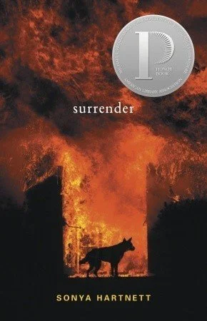 The cover of Surrender by Sonya Hartnett