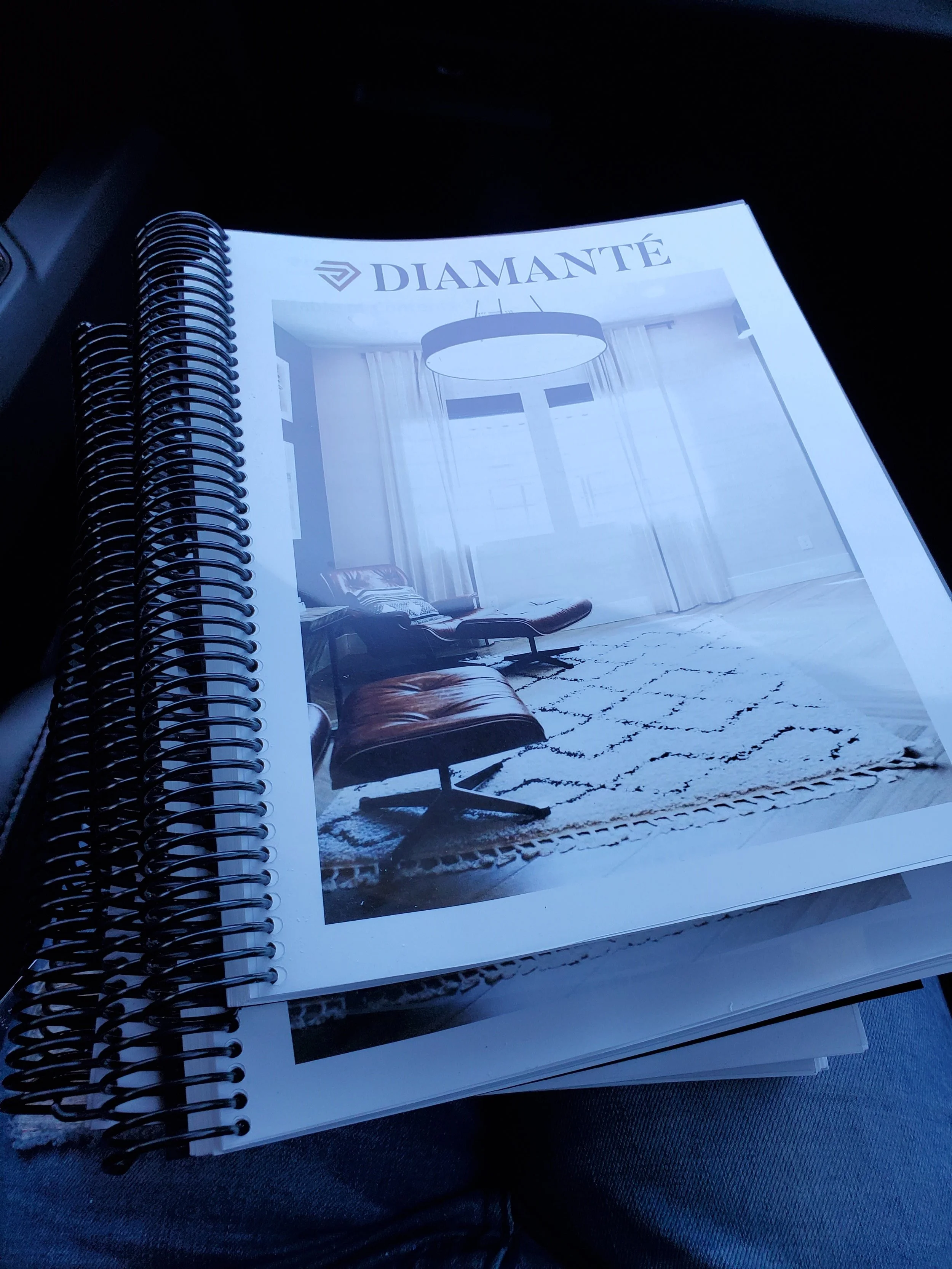 Diamante Branding.jpg