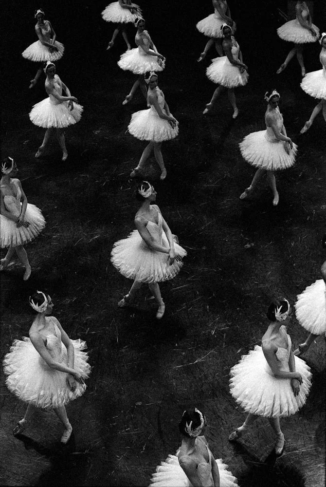 Swan Lake Ballet Pop-Up