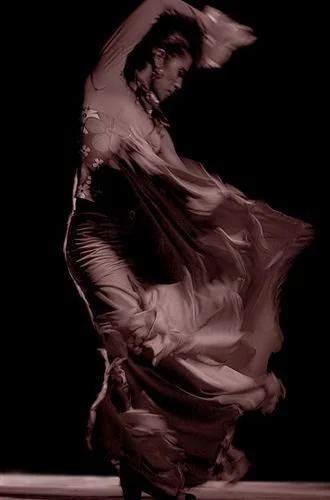 flamenco!