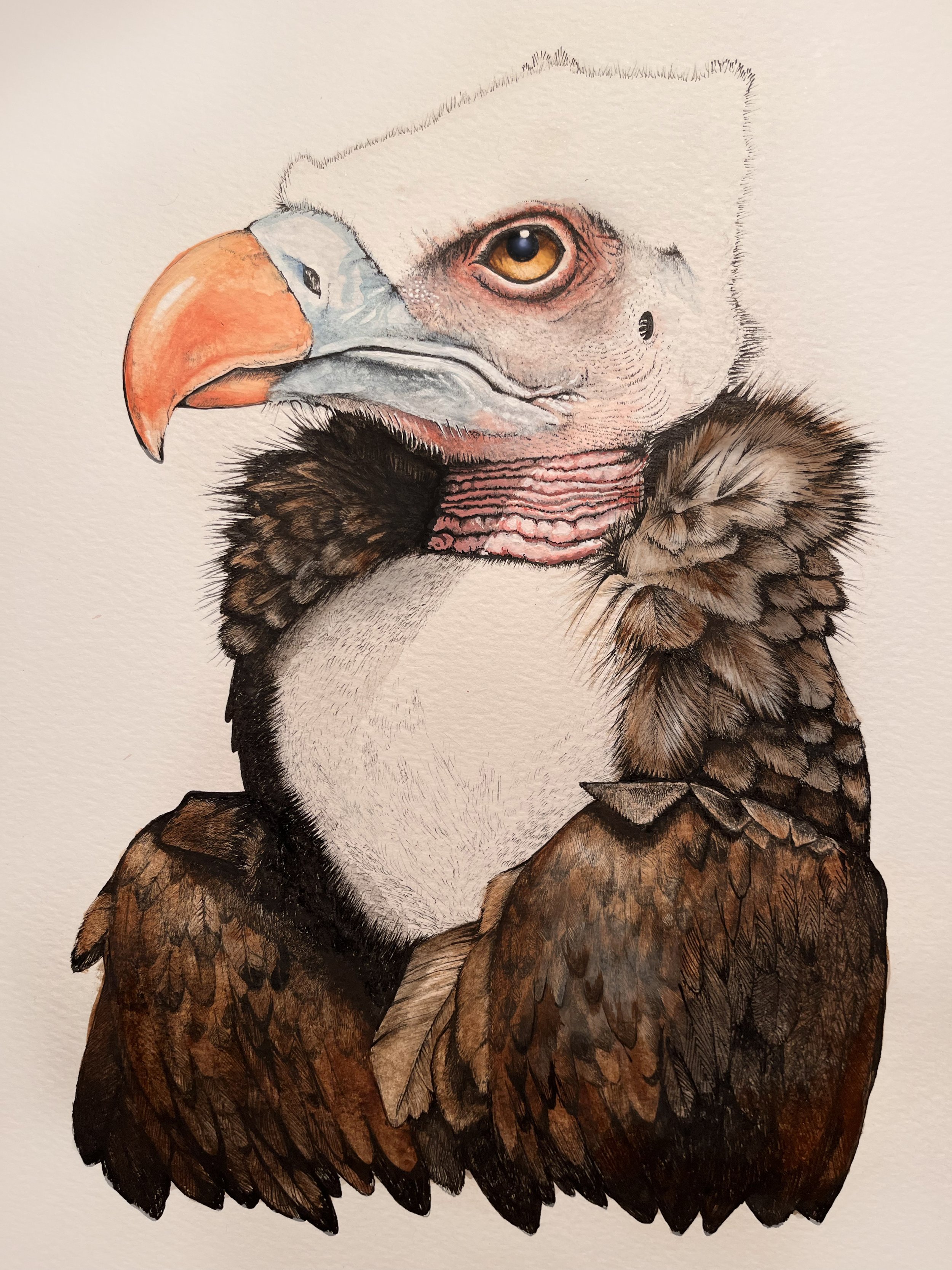 __bird1.jpg