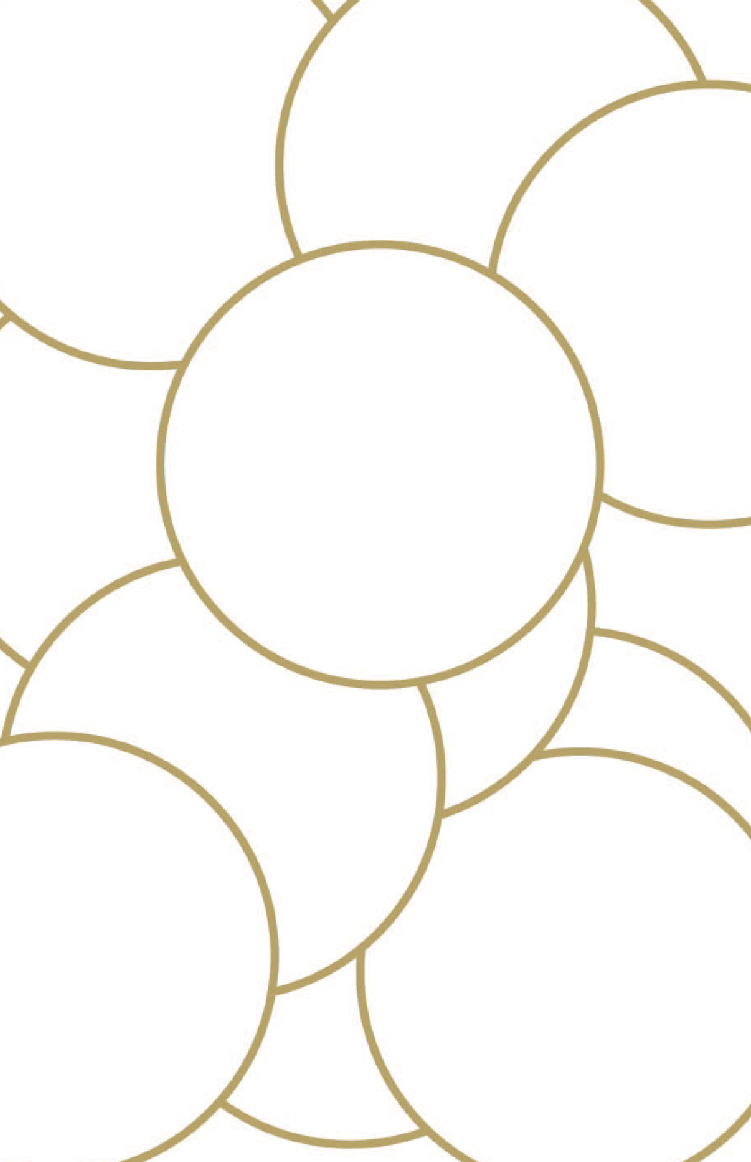circles copy.jpg