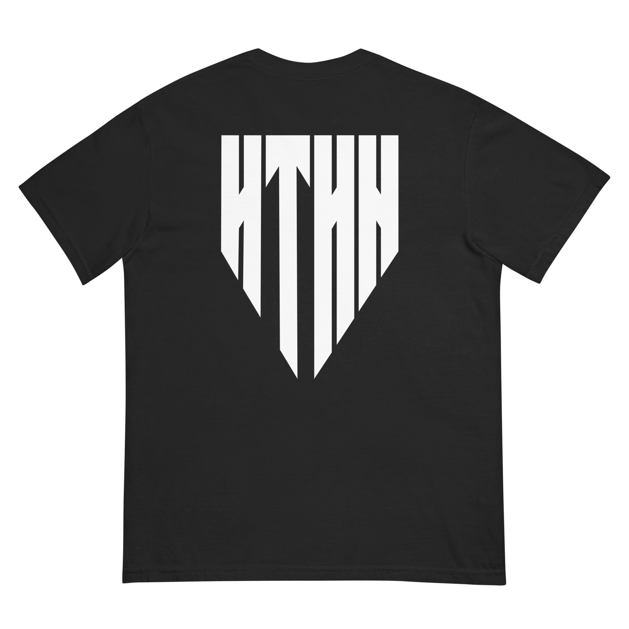 unisex-garment-dyed-heavyweight-t-shirt-black-back-69e68042a3cb8.png