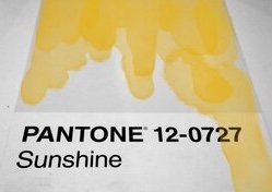 PAINT YOUR OWN SUNSHINE. PANTONE