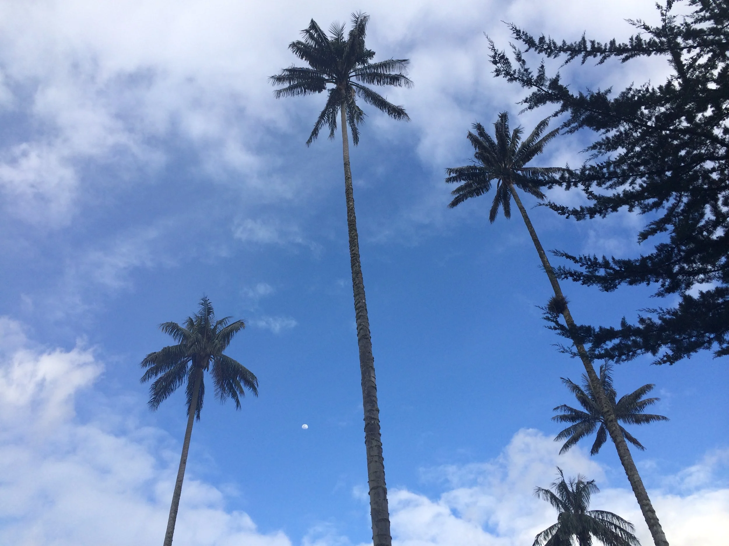 2014-07-08 19.09.37.jpg