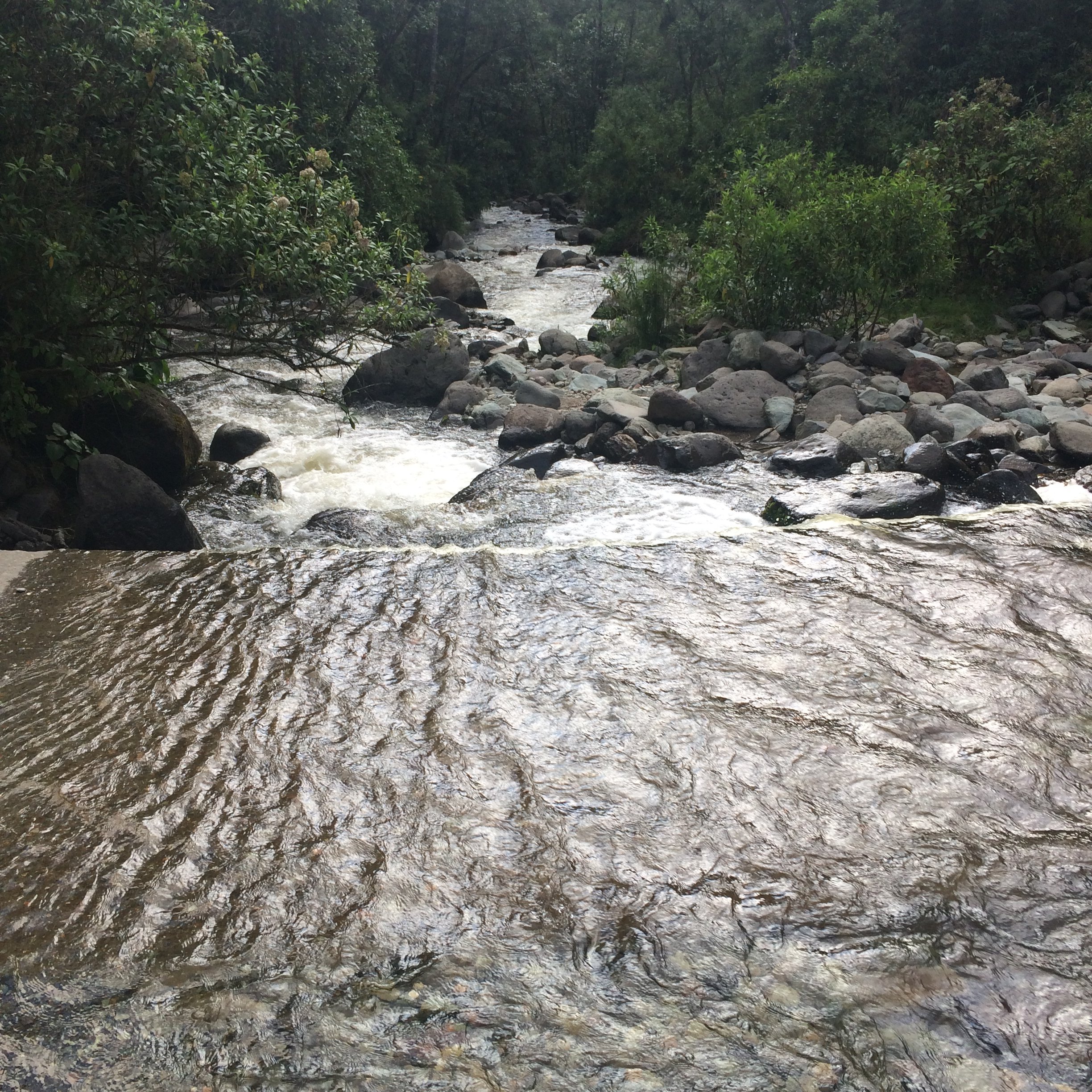 2014-07-08 19.39.27.jpg