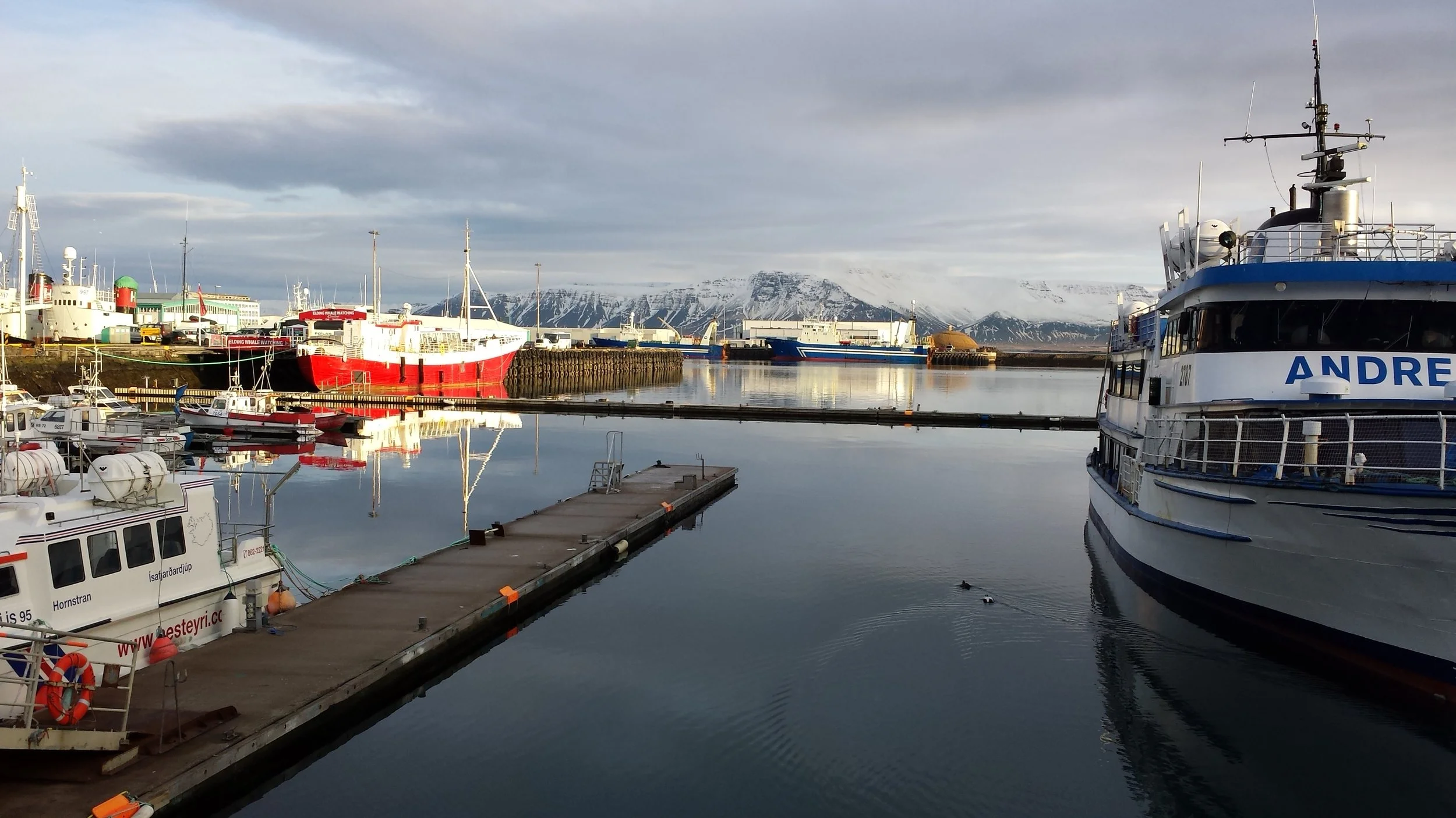 2014-01-28 12.16.52.jpg