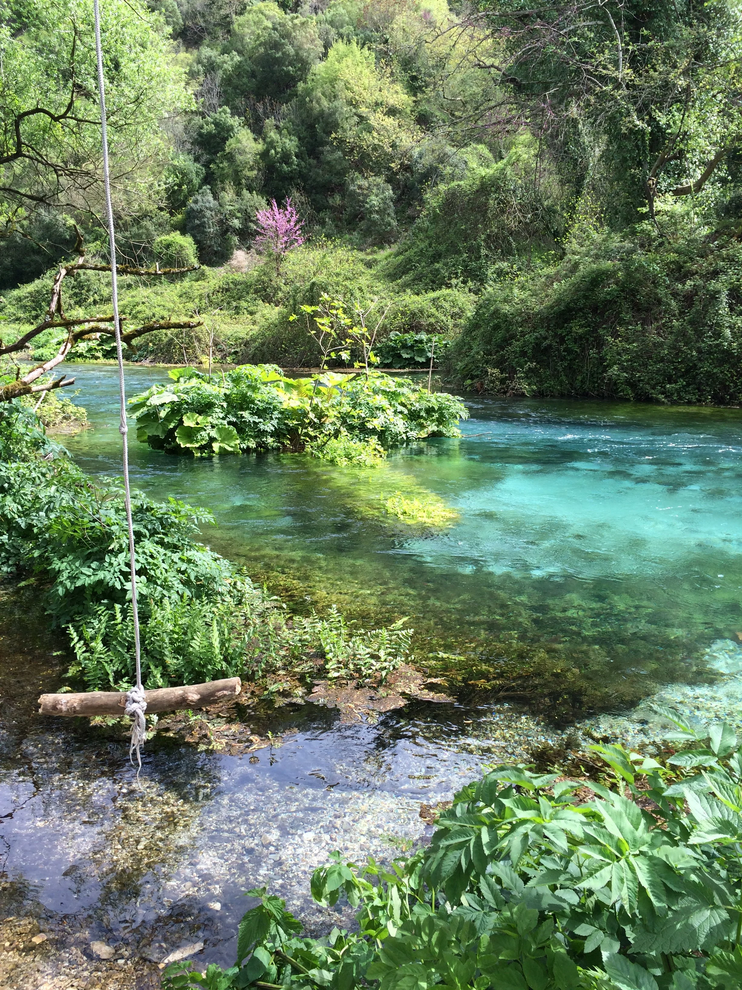 2015-04-15 11.08.52.jpg