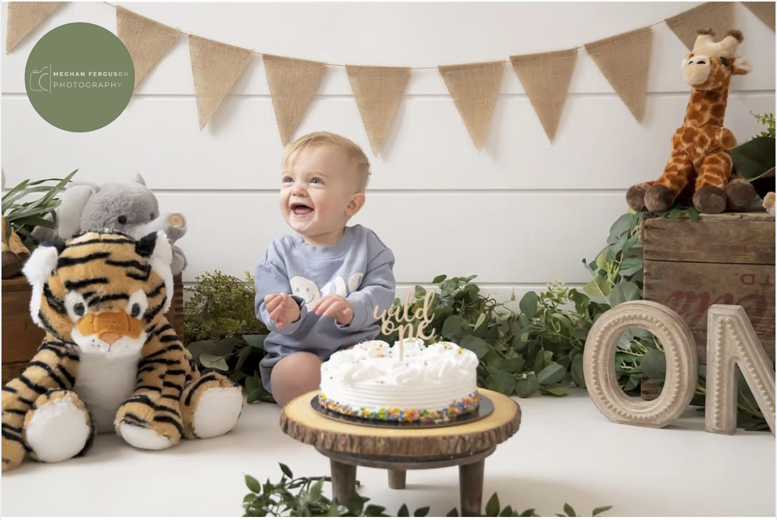 Animal Sets