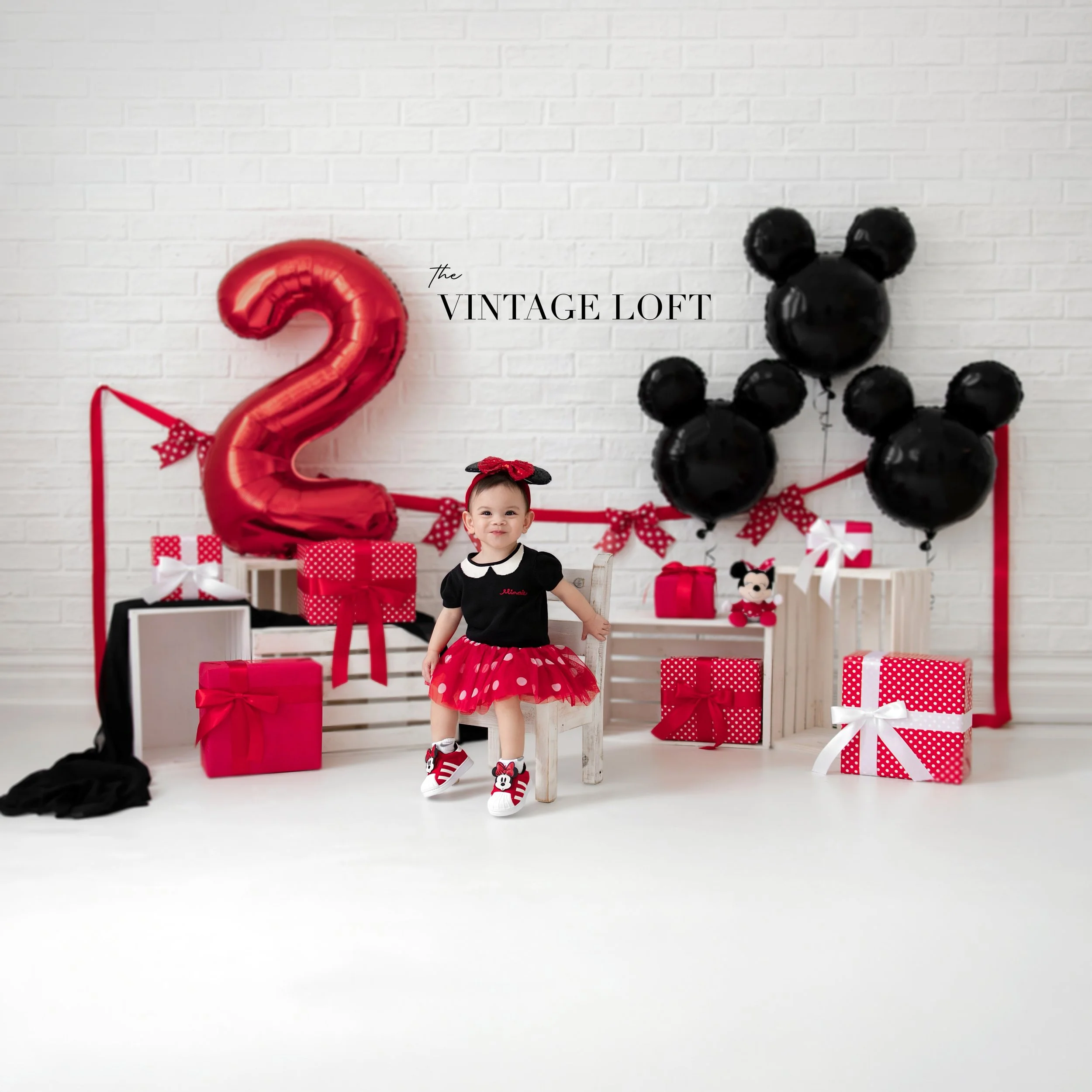 Mini Mouse or Mickey Mouse Set