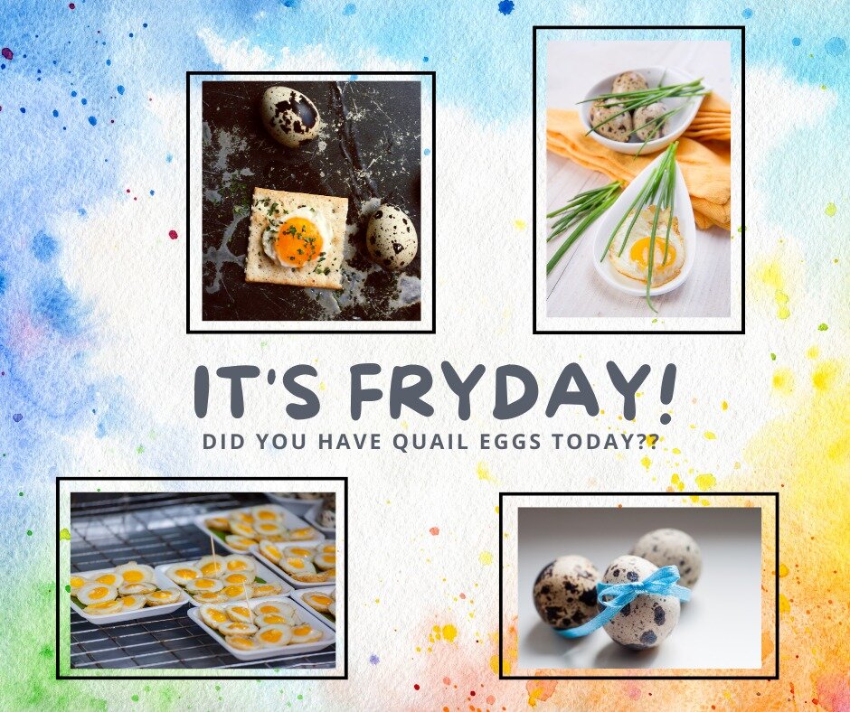 It's FRYday! Did you have quail eggs today? #quails #eggs🍳 #healthy #heartyfoods #breakfast #delicuous #fresh #farm #farming #homestead #homsteading #babychicks #dayoldchicks #farmprojects