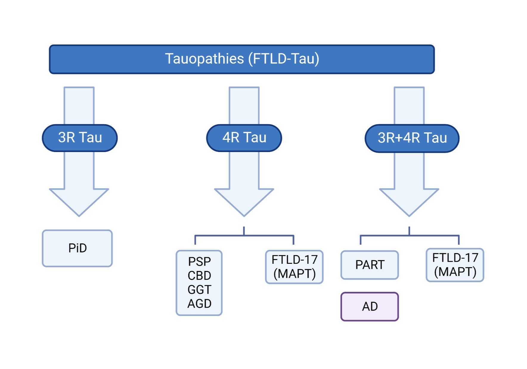 Tauopathies classification diagram