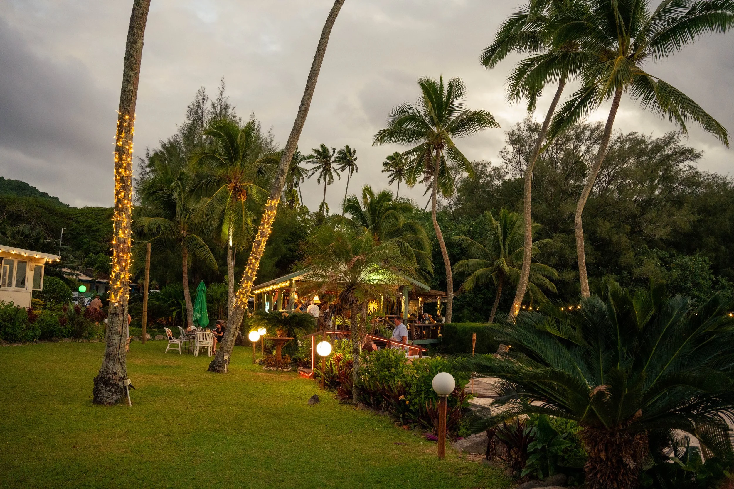 TH June 2024 lowres-1.jpg