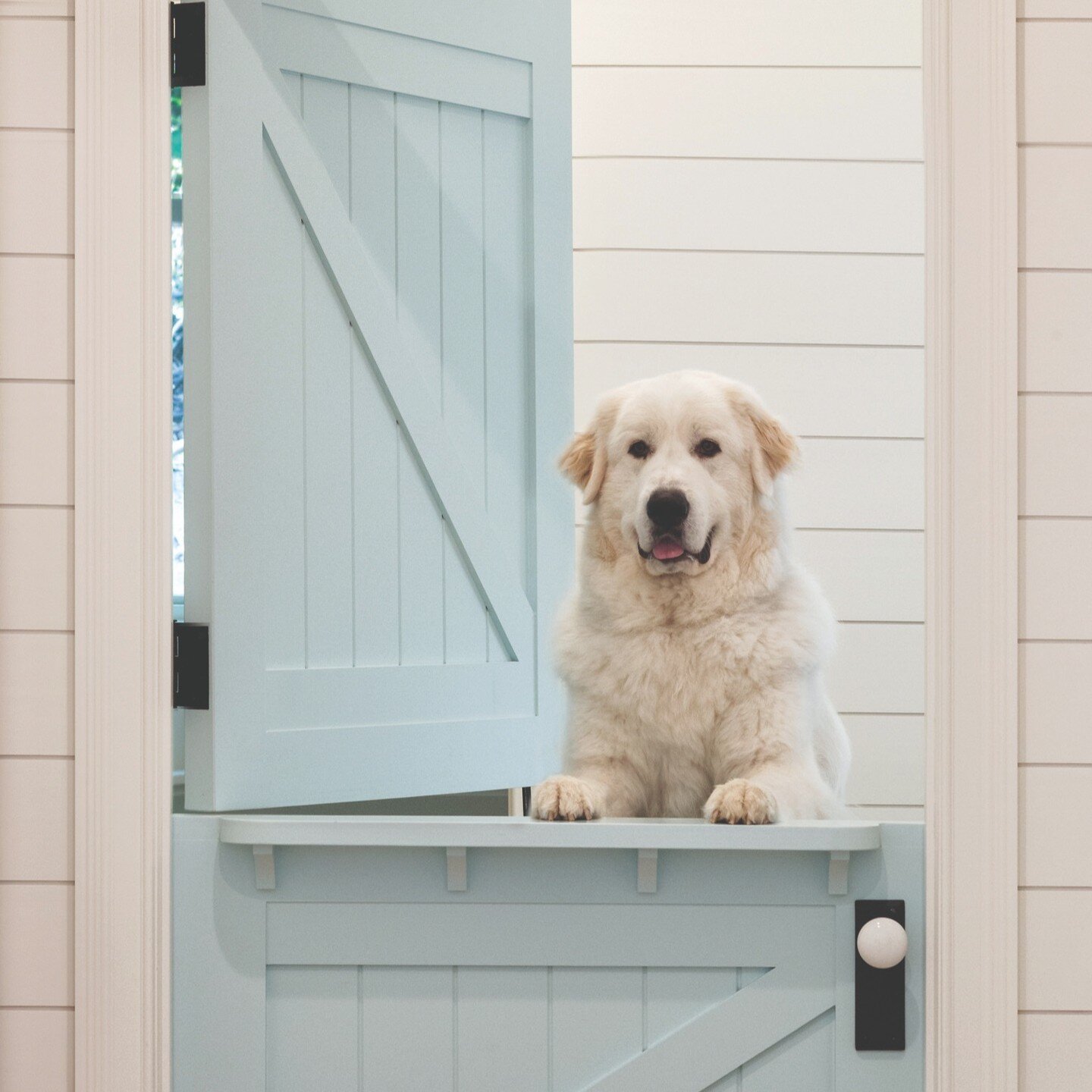 This is the best dog door I've ever seen! We love this dutch door by Trustile. 

*
*
#trustile #trustiledoors #doors #windowsanddoors #doorsandwindows #dutchdoor #homeremodel #modern #modernfarmhouse #modernfarmhousestyle #modernfarmhousedecor #desig