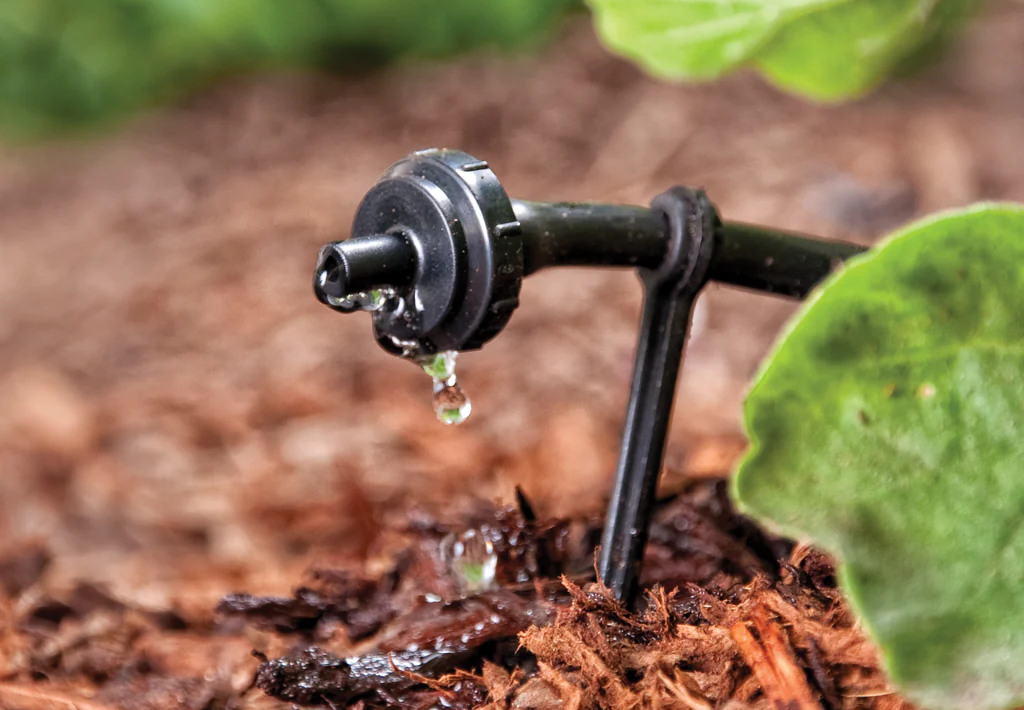 Drip emitter irrigation system for drought tolerant gardens in the bay Area.