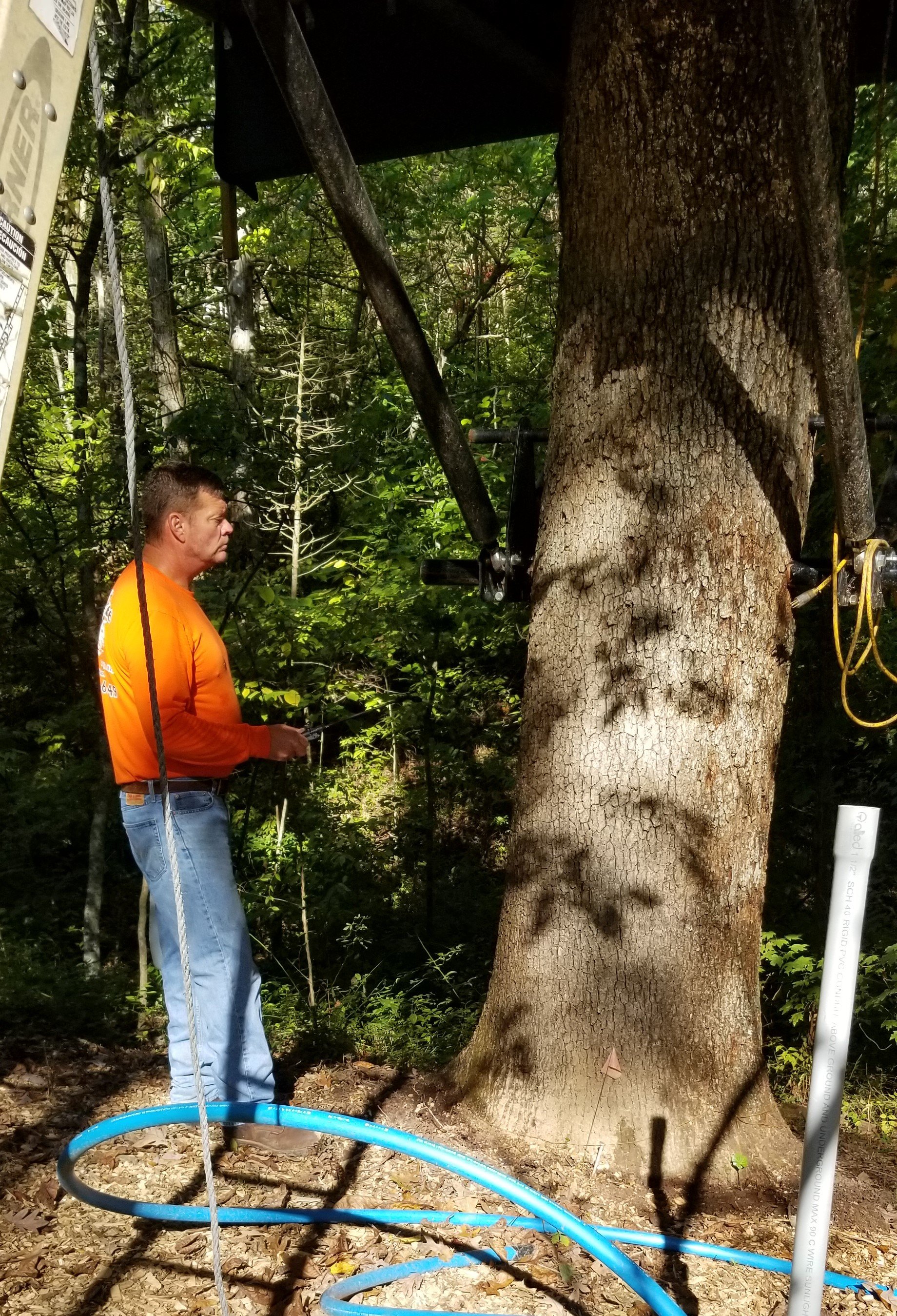 Building a Secure &amp; Tree-Friendly Treehouse