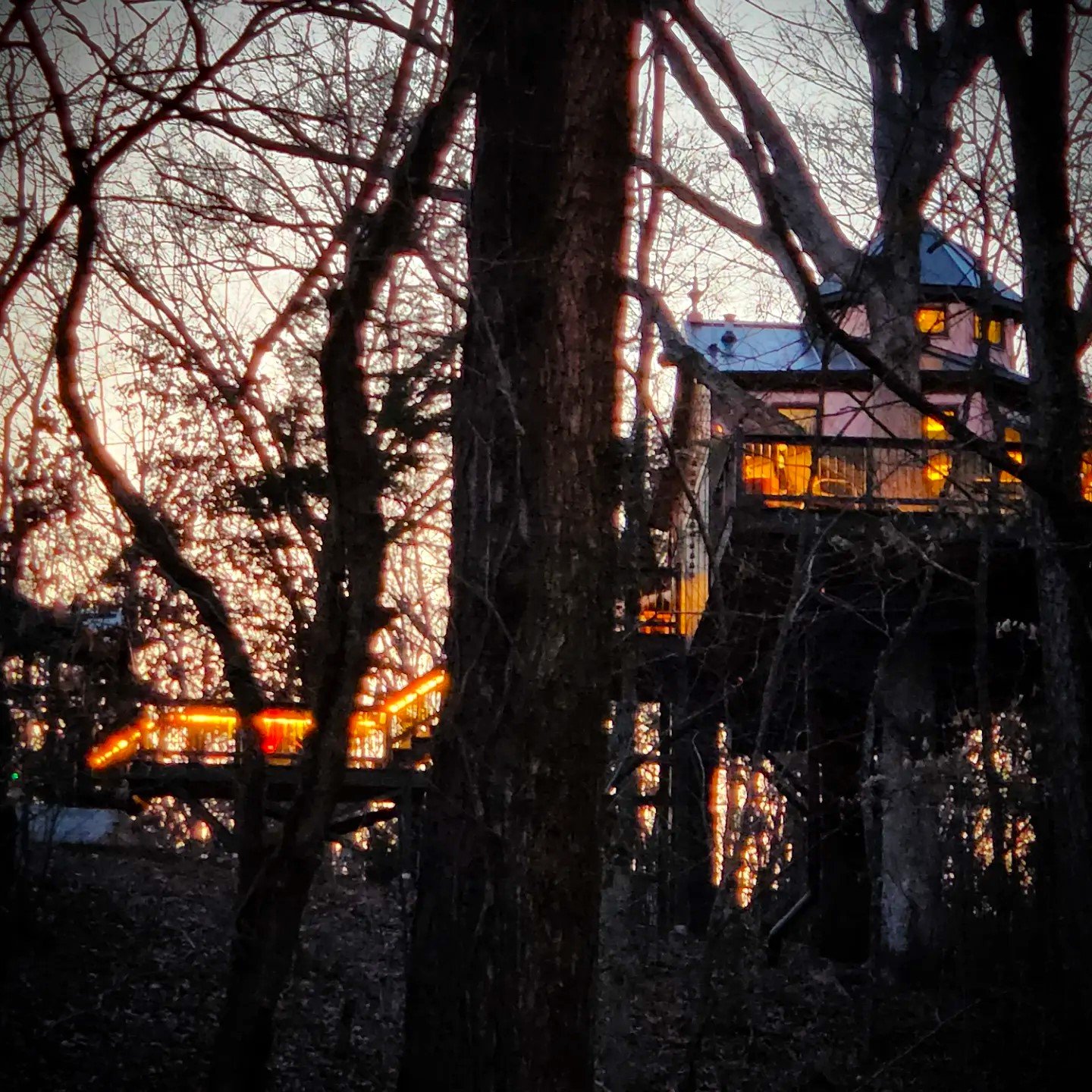 Treehouse Silhouette at Sunset