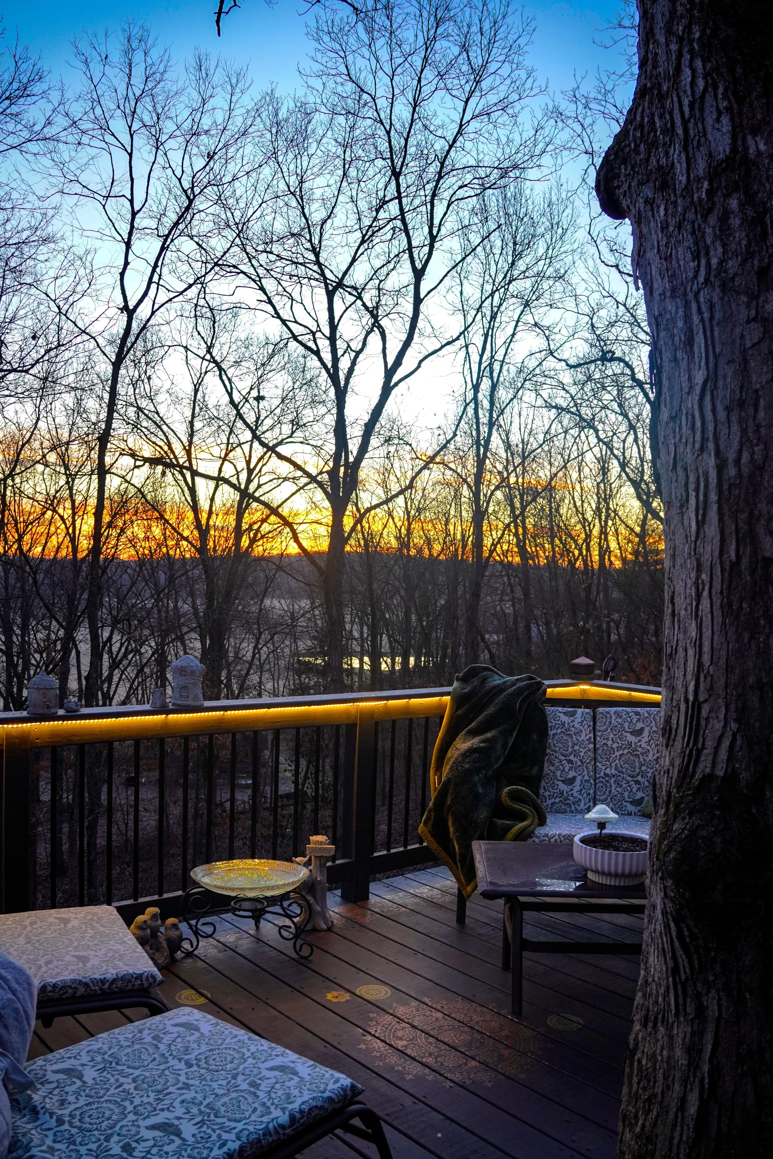 Balcony Sunset View Through Trees