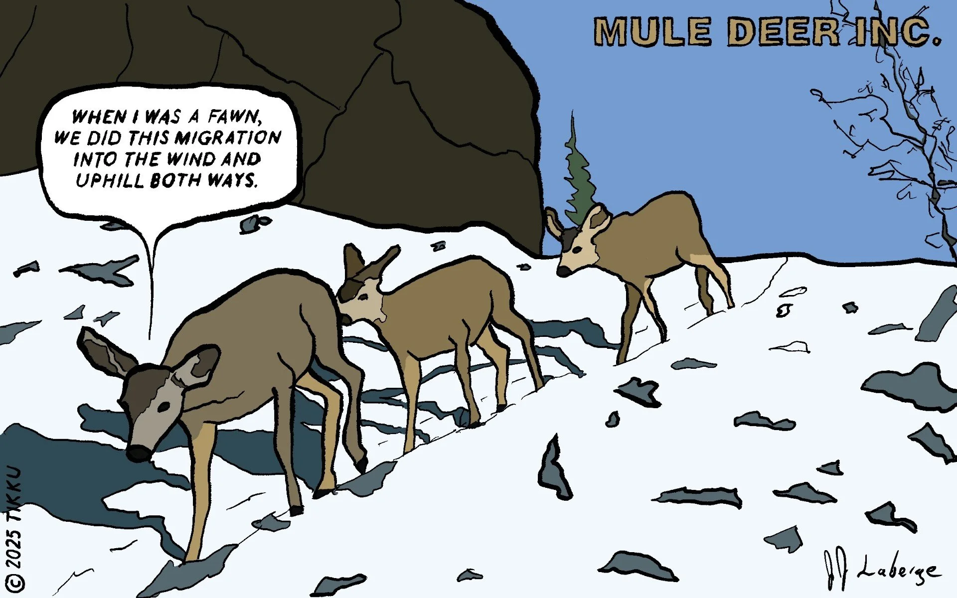 … UPHILL BOTH WAYS.