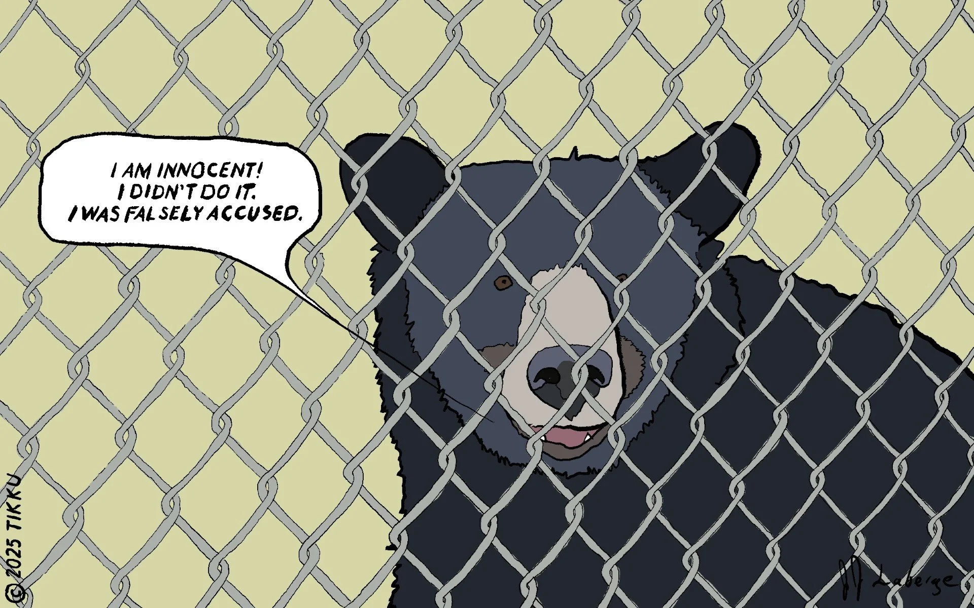 … FALSELY ACCUSED.