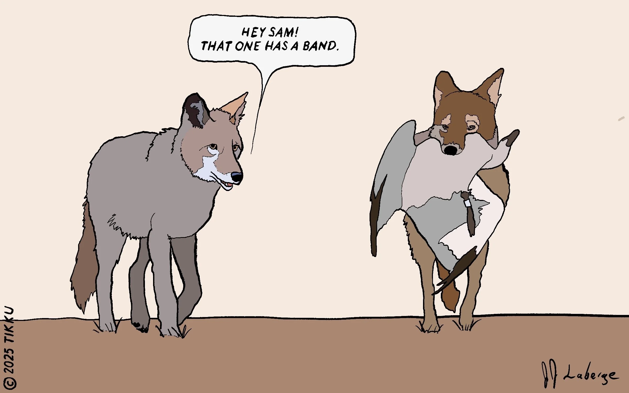 THAT ONE HAS A BAND.