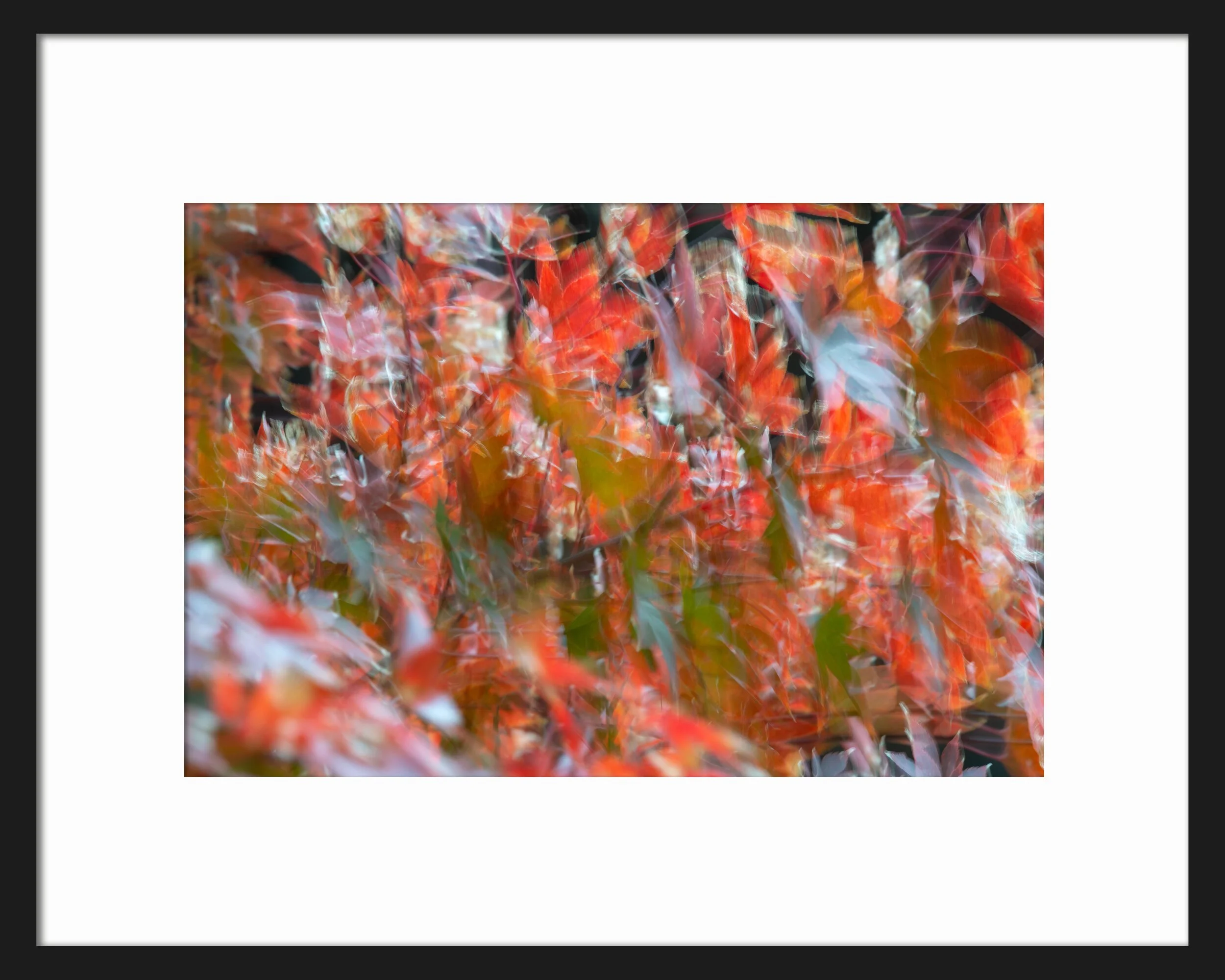 Fall+Movement+1+Framed.jpg