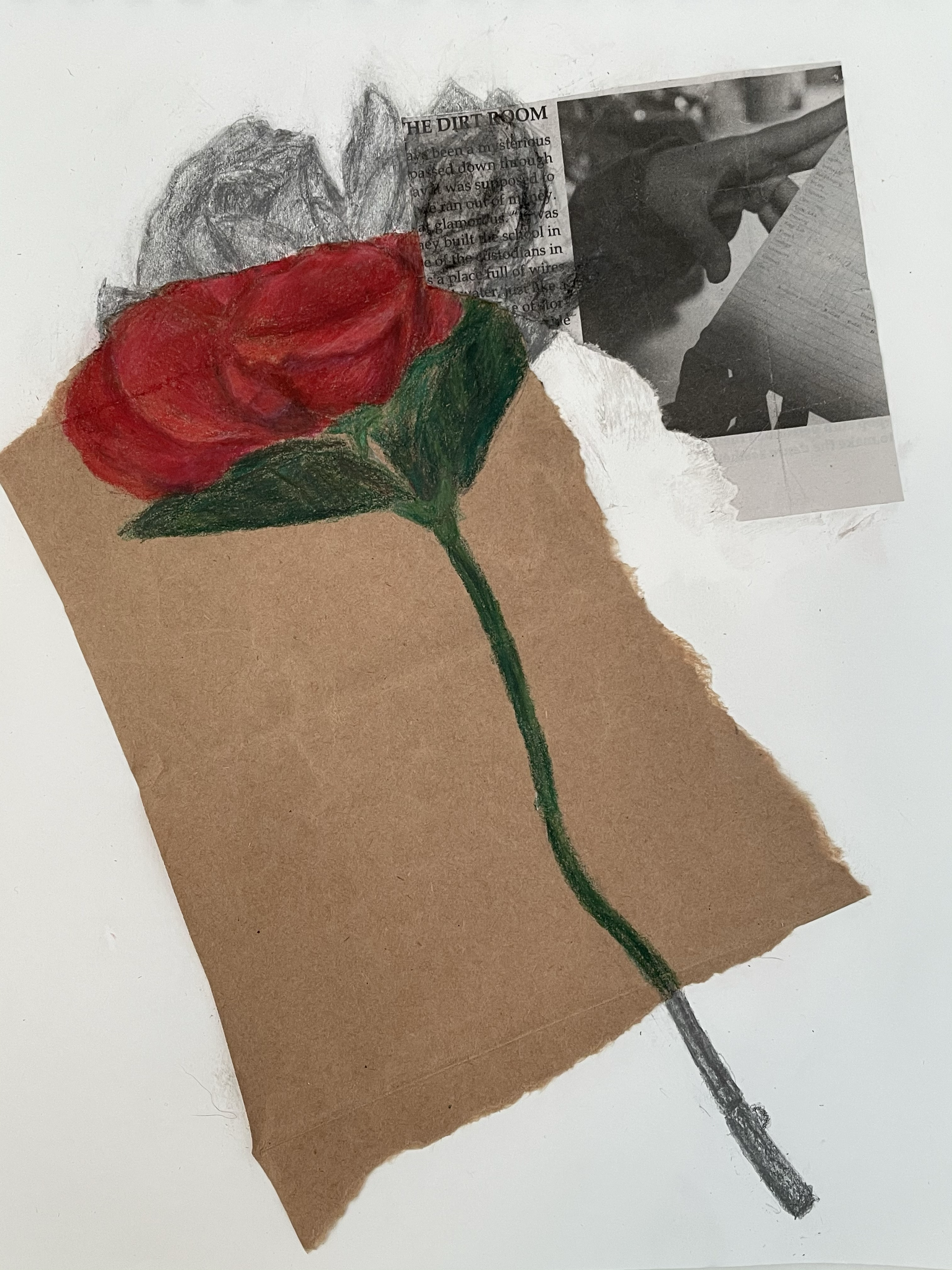 rose collage