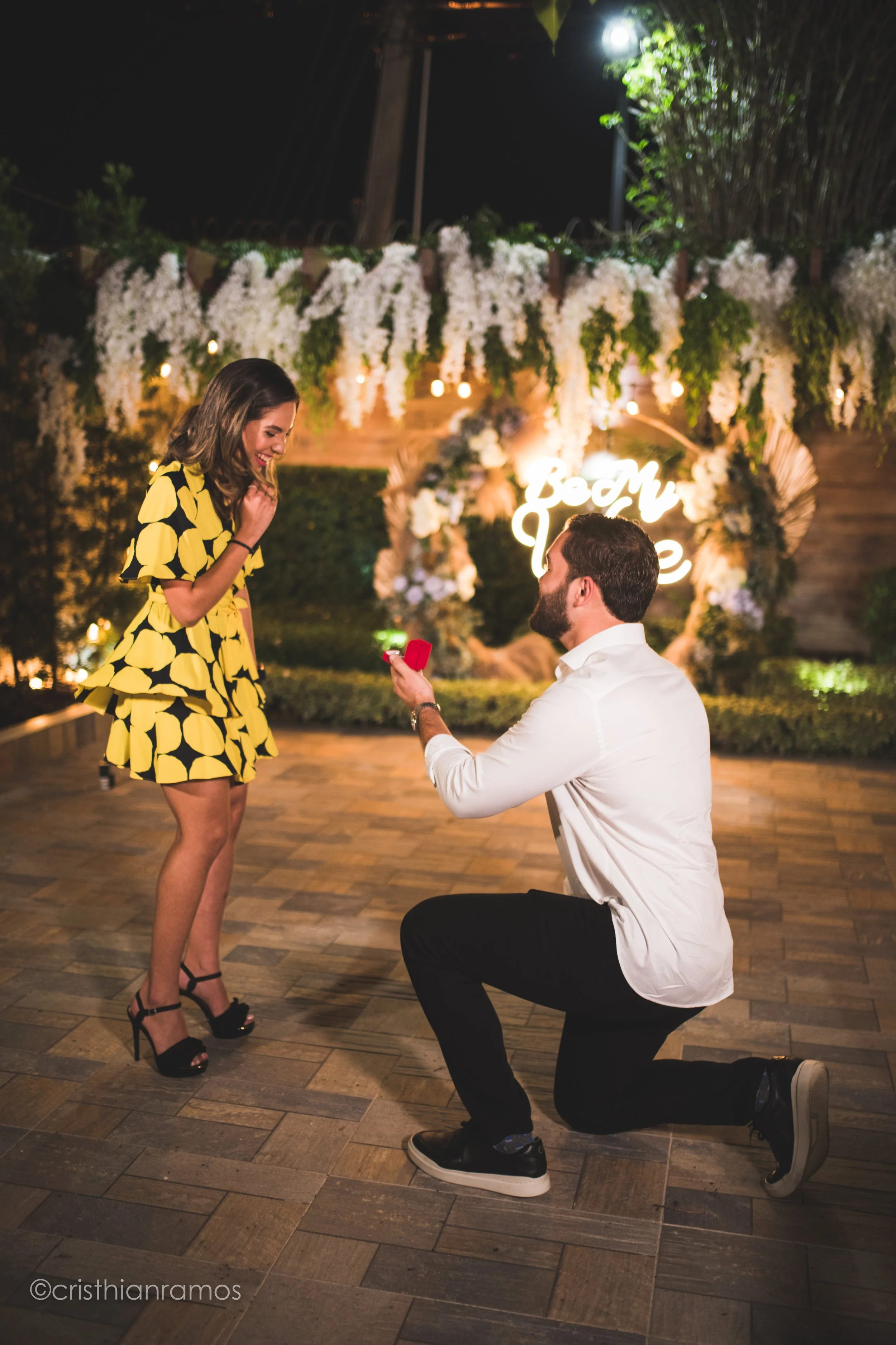 Amelia&CarlosProposal-63.jpg