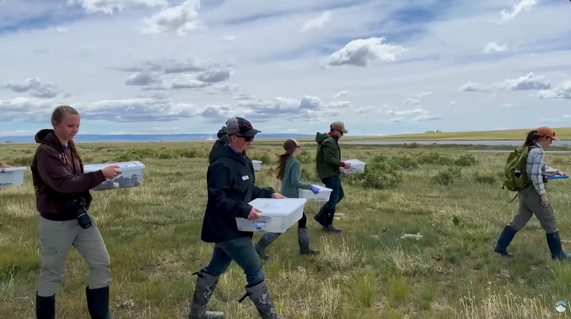 Scripted, Filmed, Directed and helped edit