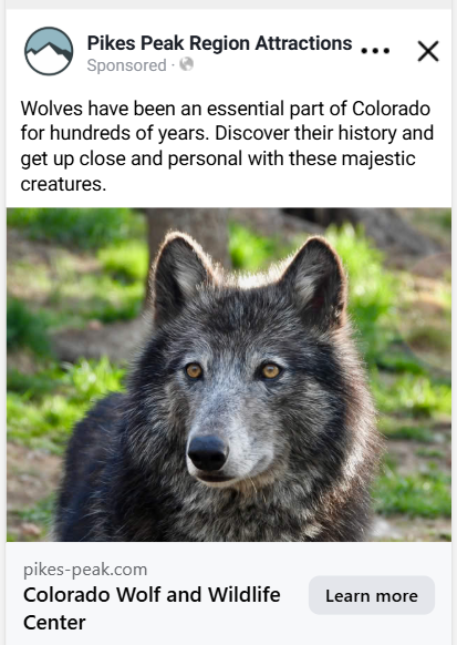 FB Ad for Colorado Wolf and Wildlife Center - part of a campaign with the goal of changing the narrative that wolves are bad or problematic. Landing page was educational and encouraged audience to learn more and go to the center. 