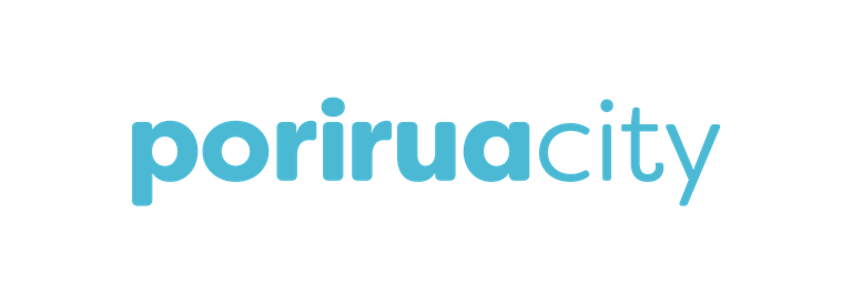 PCC_Logos_Print_Kikorangi.width-768.png