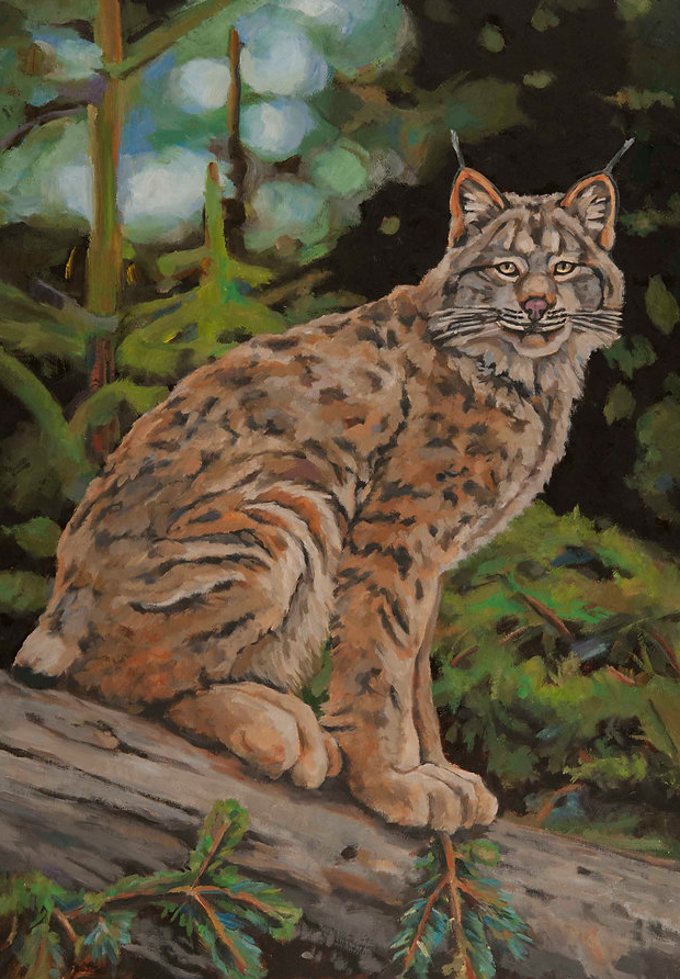 Stephen Krasemann - Lynx Log