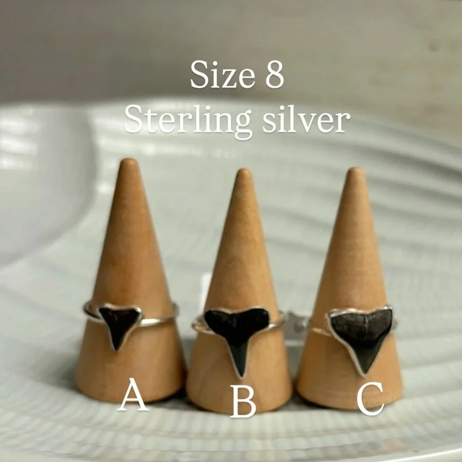 A214D861-01B1-4A78-B5BF-4FC1755AFBCD.jpg