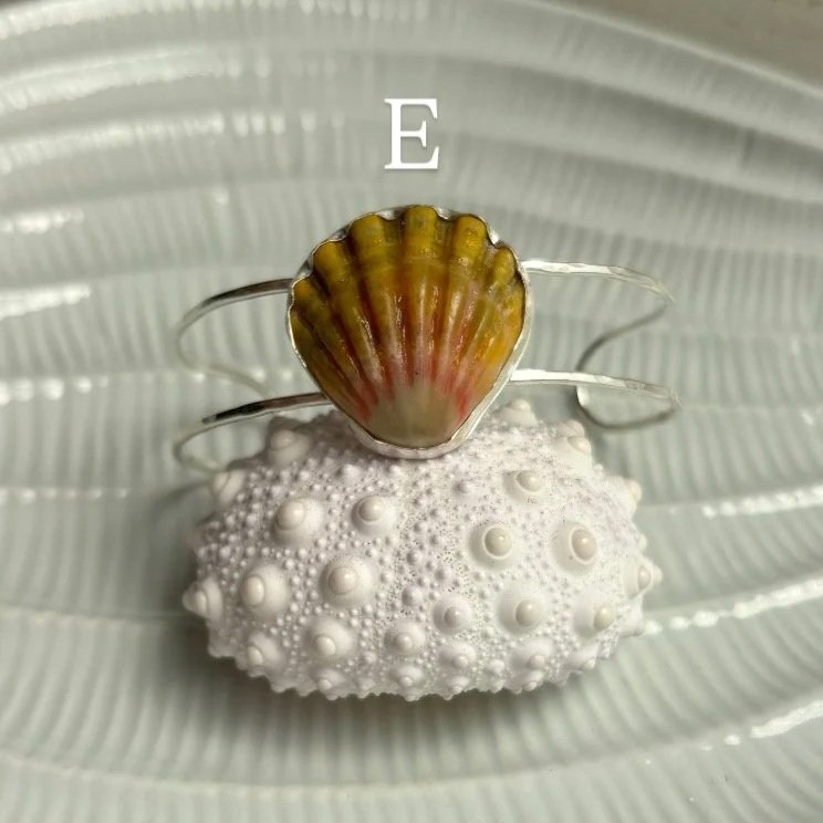 A4F49E4B-9FD7-4BD7-A0A5-D48BCCDB6833.jpg