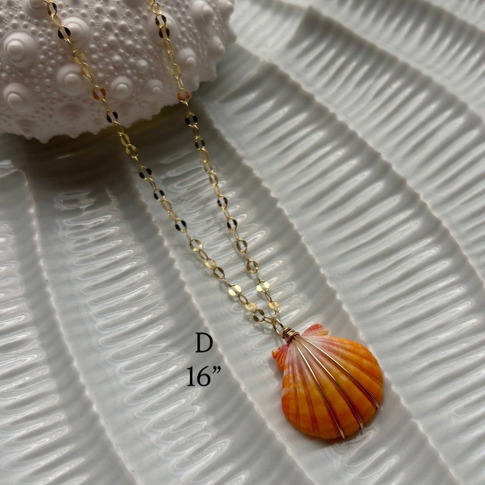CB930951-8DBC-4C09-B316-DAD389A122D5.jpg