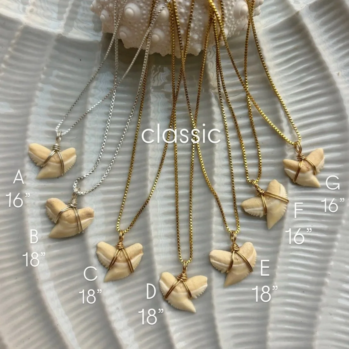 E793EC17-5379-4FB0-A382-11A42DDDAAC5.jpg
