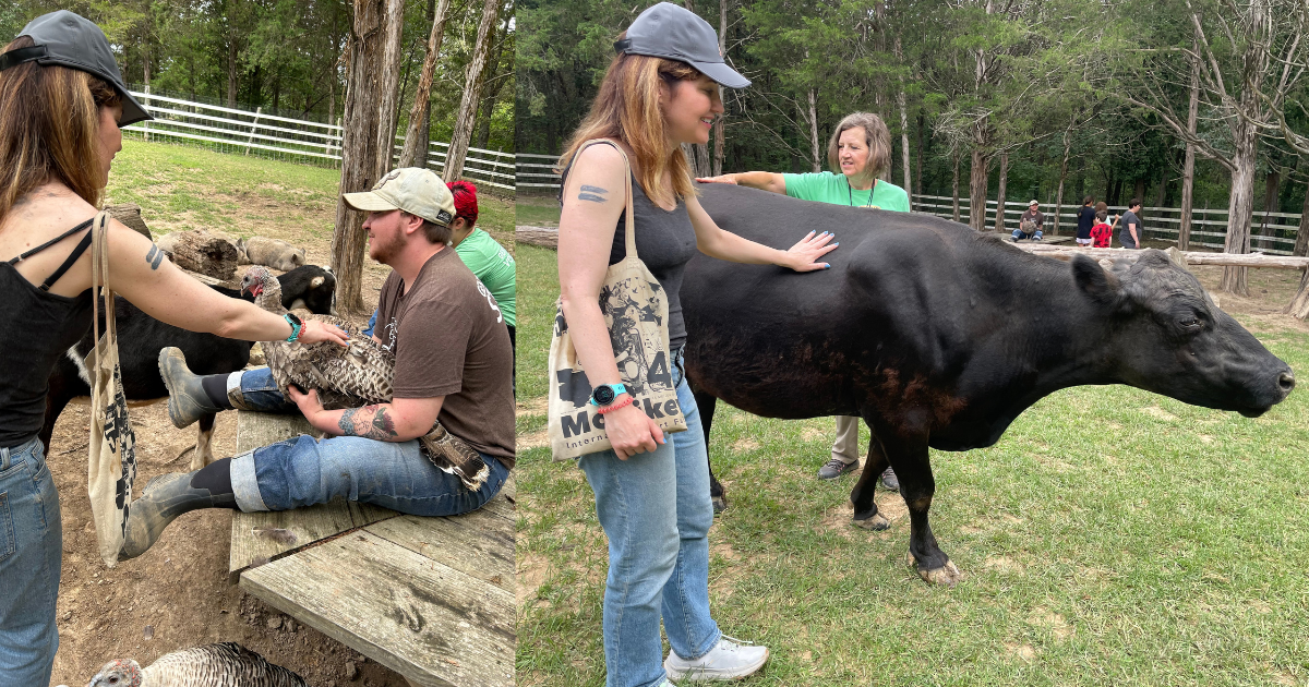 gentle-barn-book-review